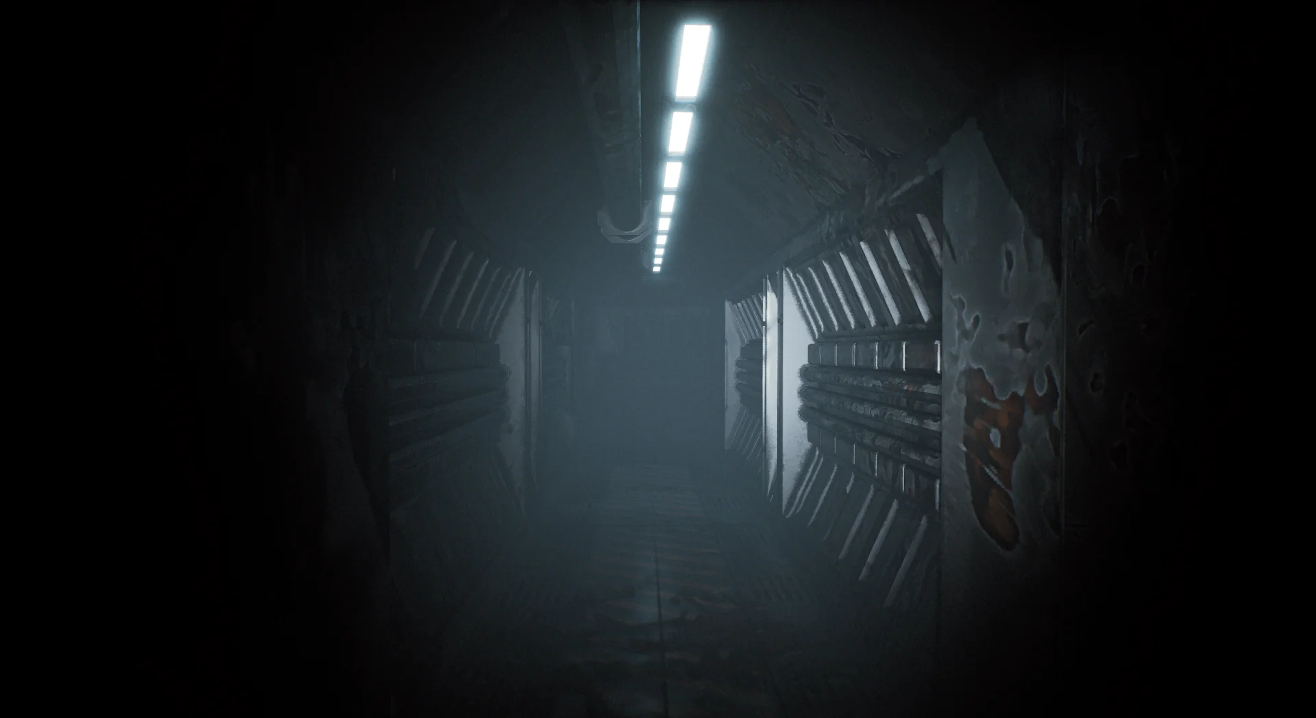 Headlamp active in the underbelly — contrast between lit and unlit areas